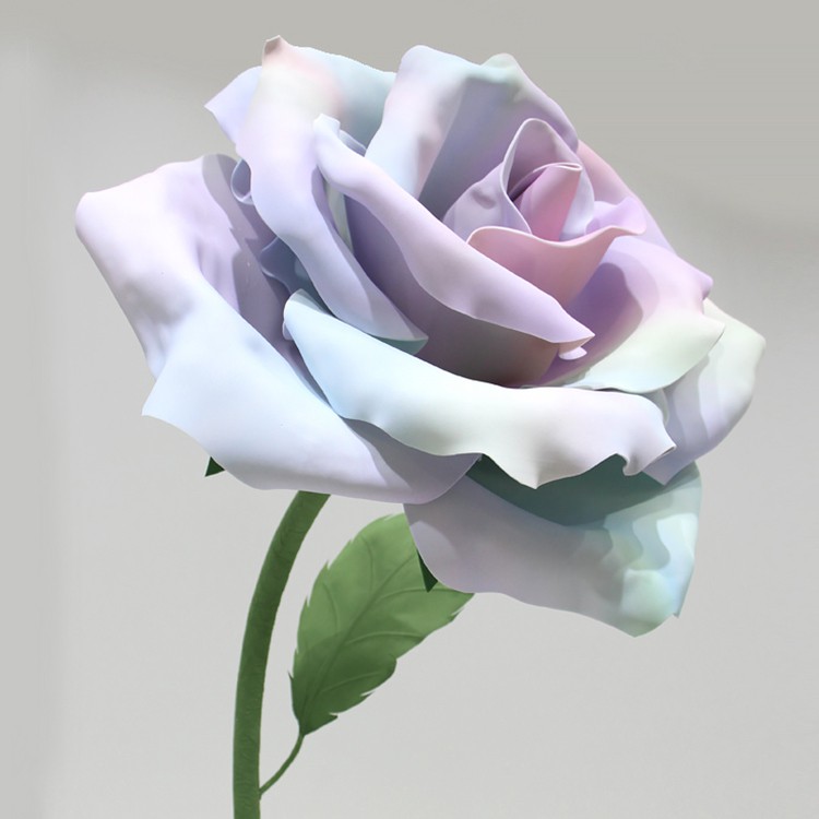 giant rose giant rose