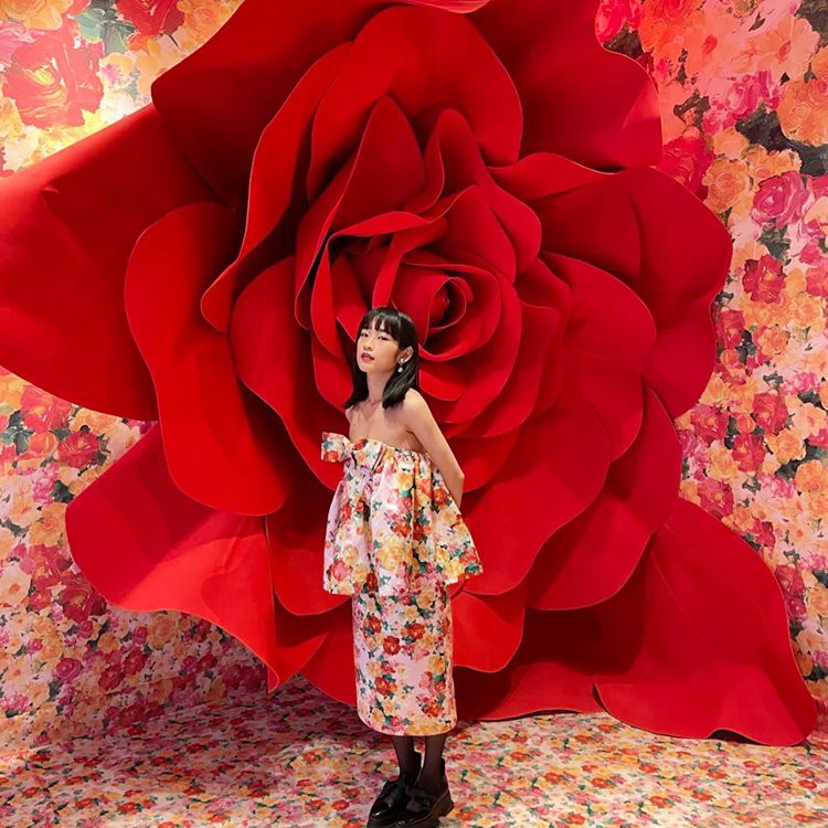 אבזרי רקע ורדים ענקיים