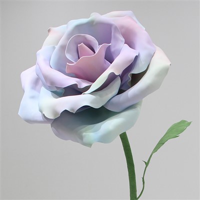 ענק חיצוני EVA ROSE ROUTERS